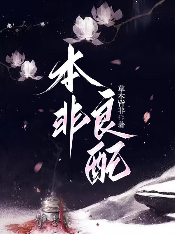 本非善茬全文免费阅读