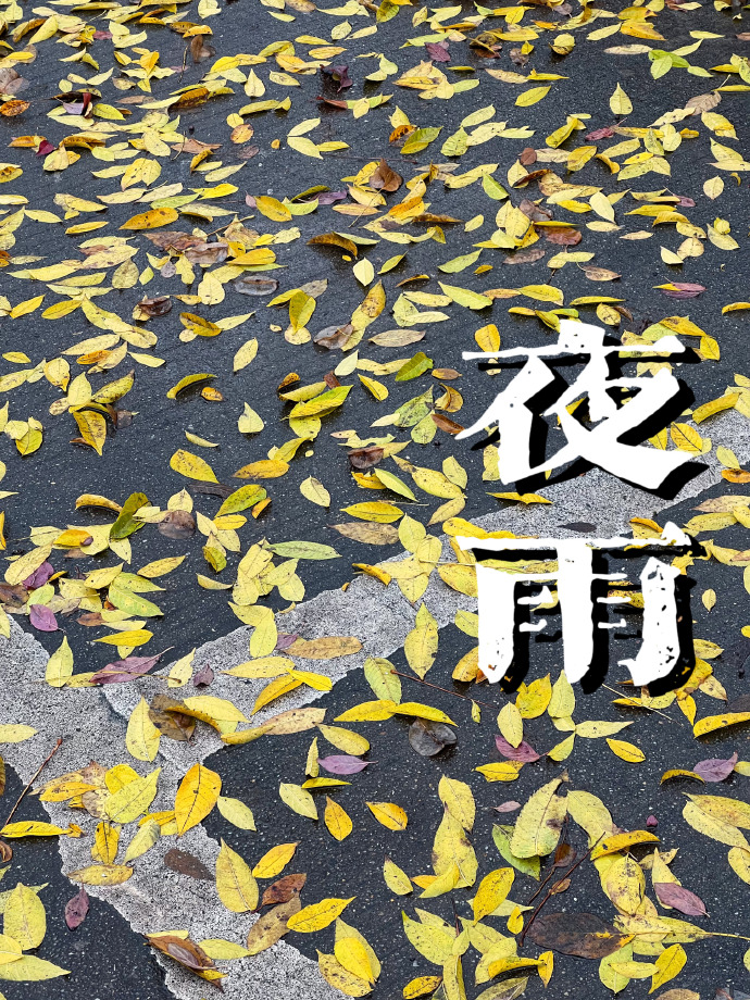 夜雨寄北古诗带拼音