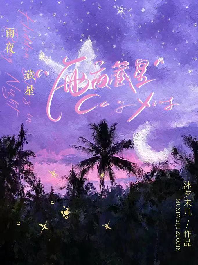 雨夜藏星