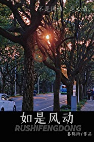如是风动先婚后爱 暮锦南