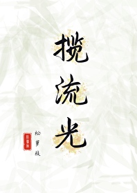 揽流光by鹊上心头