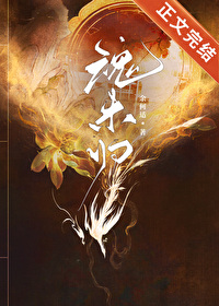 魂来归兮文案