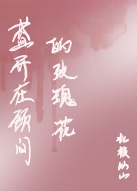 盛开的玫瑰的寓意