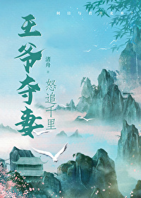 王爷抢妻