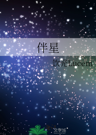 伴星小说