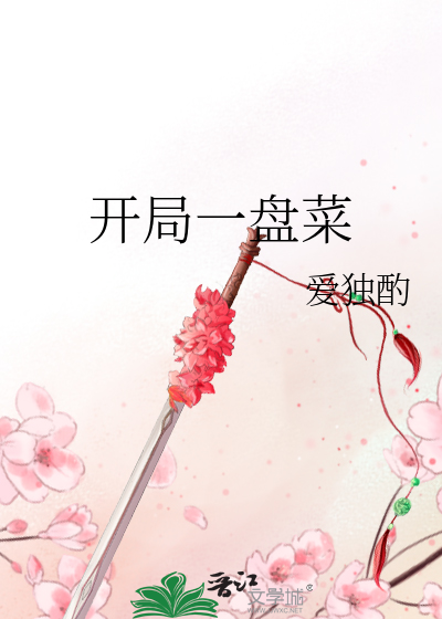 开局一碗饭结局一根绳