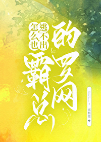 霸总小说简介