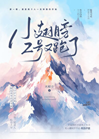 小翅膀作品集