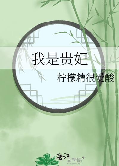 我是贵妃的陪嫁婢女那日皇上与贵妃吵架