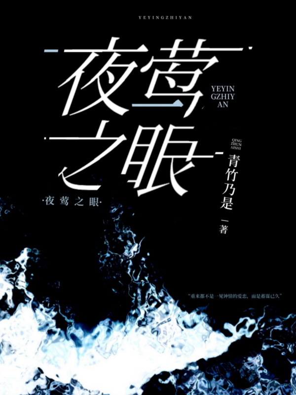夜莺之眼小说