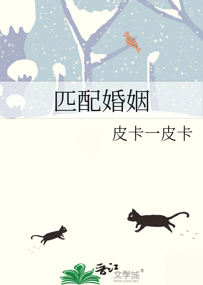 匹配婚姻免费