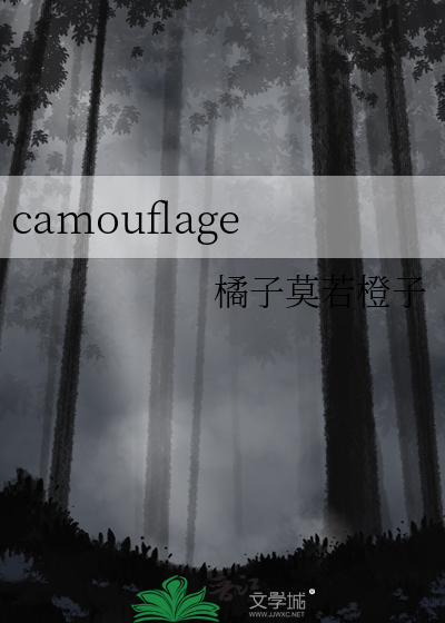 camouflage view 翻译