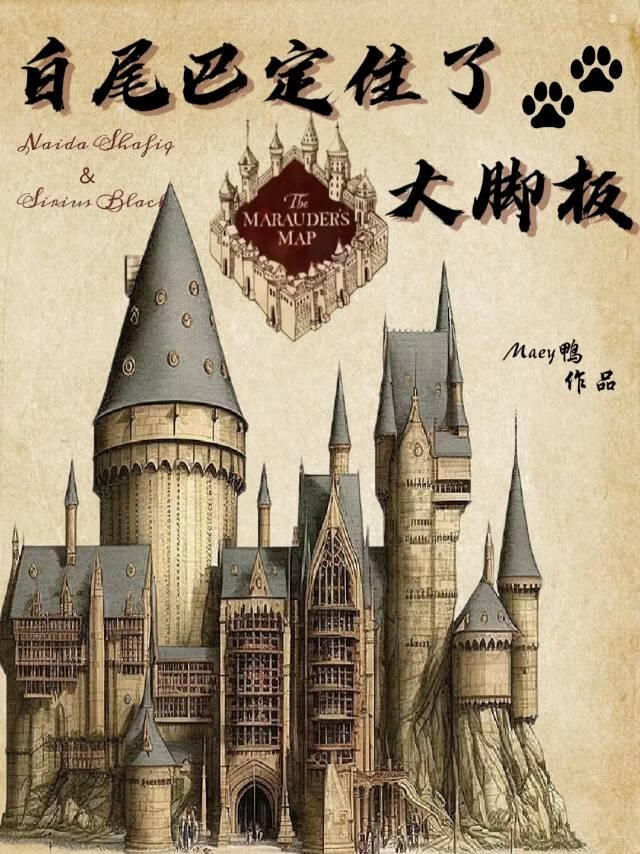 hp白尾巴定住了大脚板