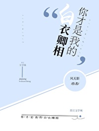 你是我的白衣少年出自哪首歌