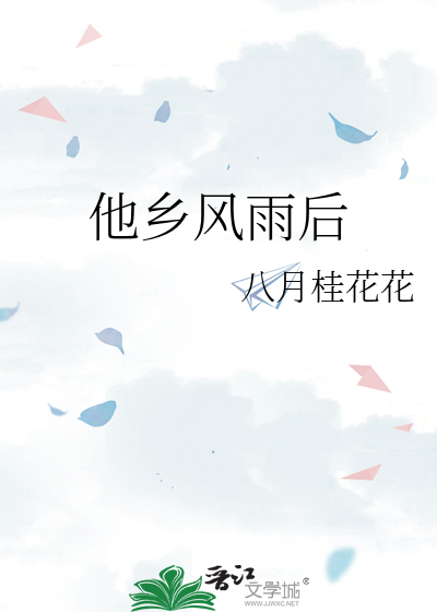 他乡风雨读后感