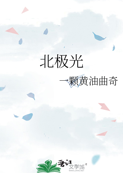 北极光供应链