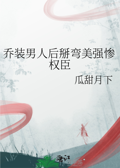 乔装型男团电视剧