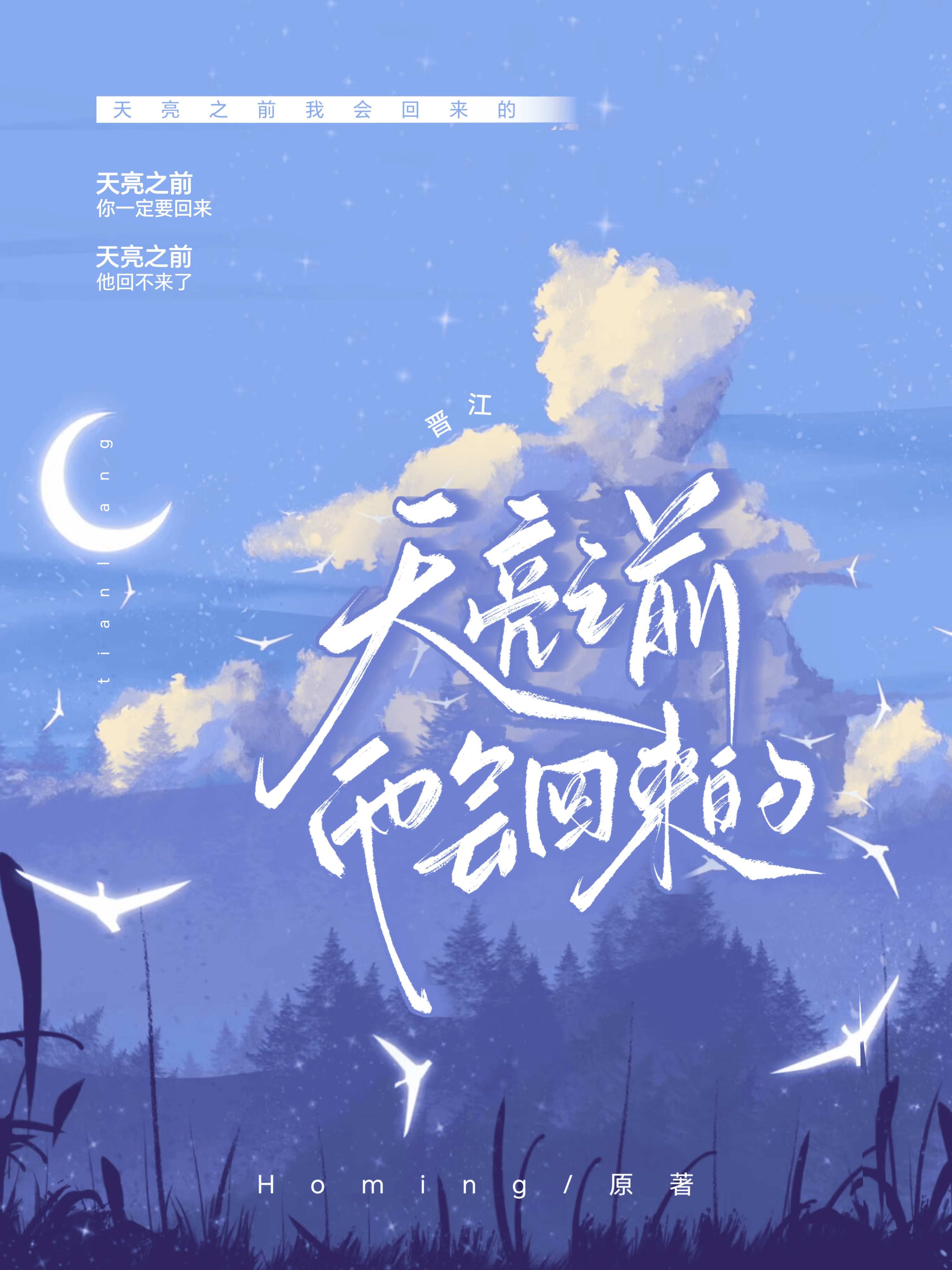 天亮之前一直往南走不能回头是什么电影