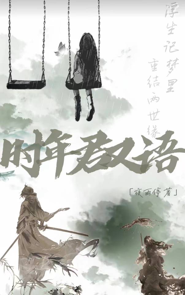 时年君沉小说名字