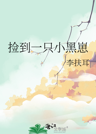 老房子攻略手册
