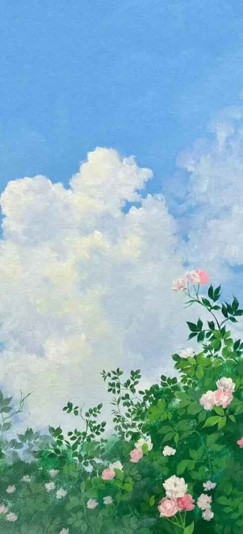 雏菊与你