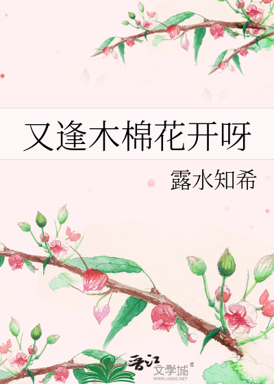 又见木棉花开时