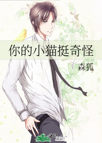 你的小猫咪英文