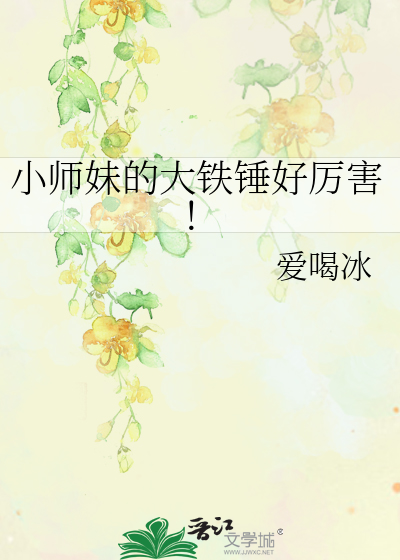 小师妹的战机叫什么