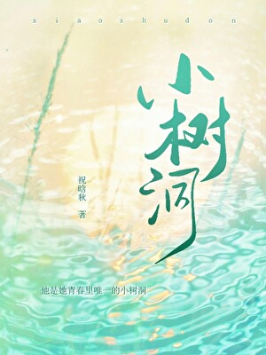 小树洞平台