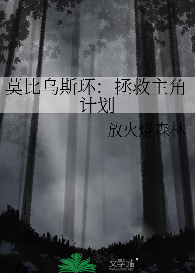 莫比乌斯环：拯救主角计划