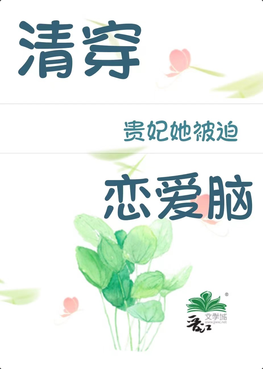 清穿之贵妃小说