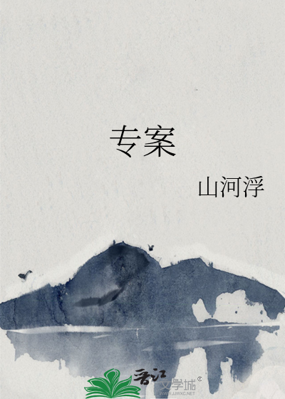 专案组工作总结