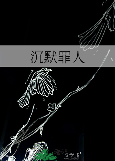 沉默即罪小说