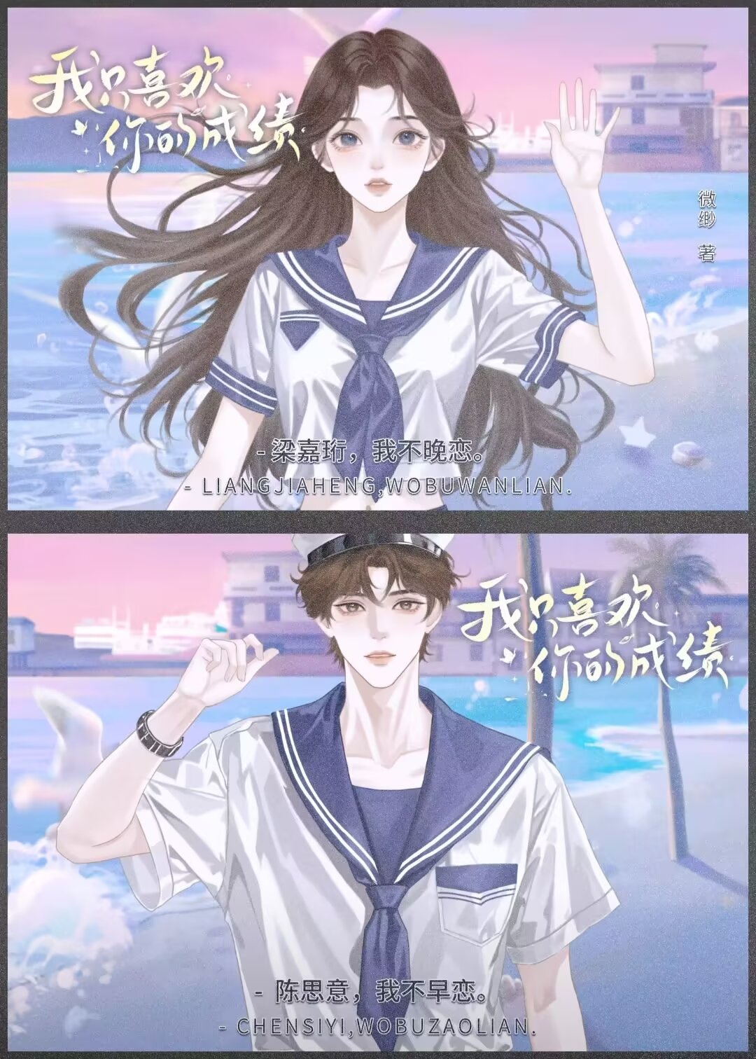 我只喜欢你小说