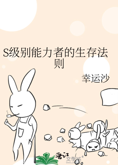 ssecmm能力级别
