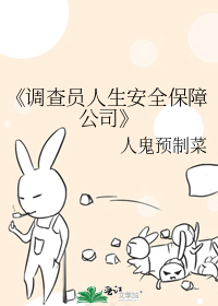 调查人员或调查公司应承担的职责