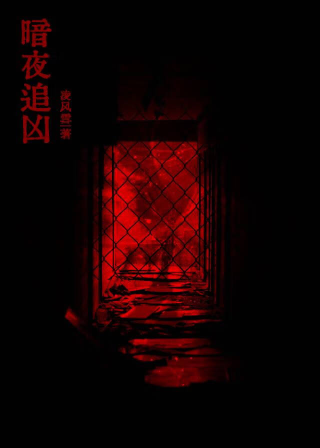 暗夜追凶